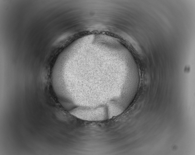 X0000102871063200809151230