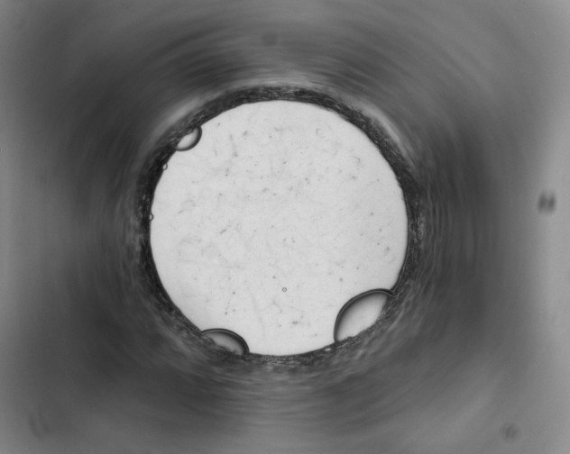 X0000102871064200809151230