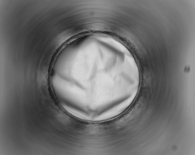 X0000102871065200809151230