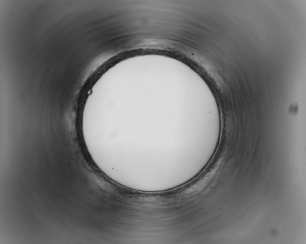 X0000102871066200809151230