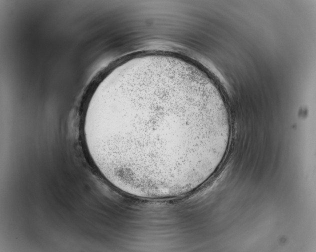 X0000102871067200809151230