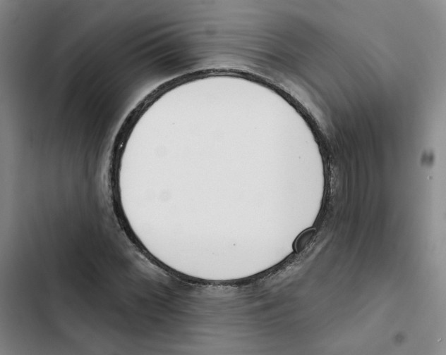 X0000102871068200809151230