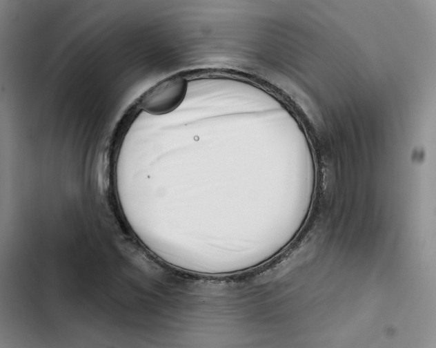 X0000102871069200809151230