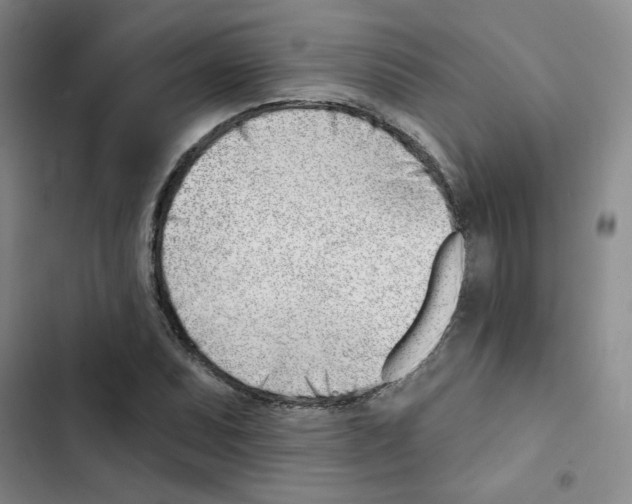 X0000102871071200809151230