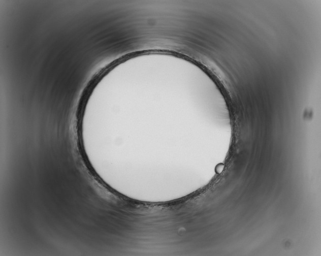 X0000102871072200809151230