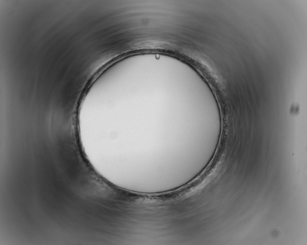 X0000102871073200809151230