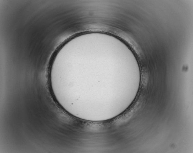 X0000102871074200809151230