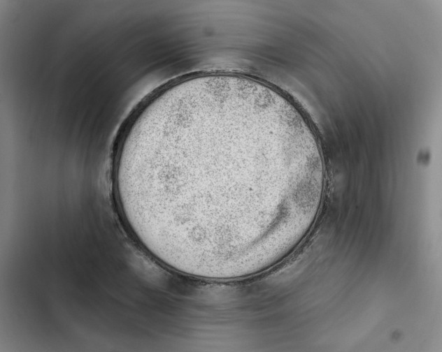 X0000102871075200809151230