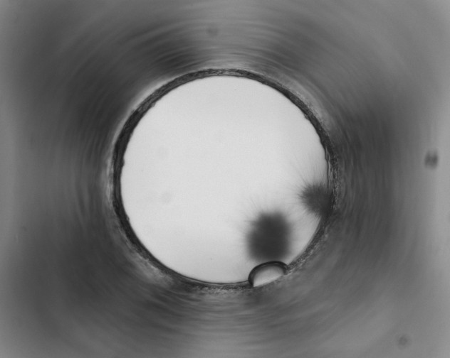 X0000102871076200809151229