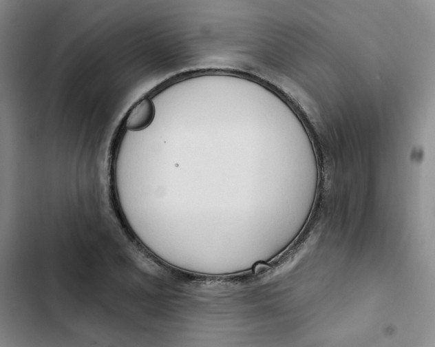 X0000102871077200809151229