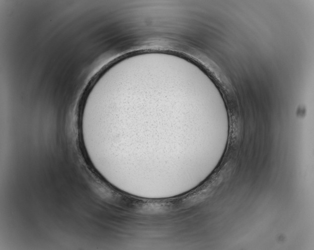 X0000102871078200809151229