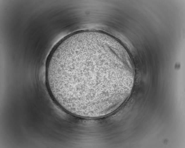 X0000102871079200809151229