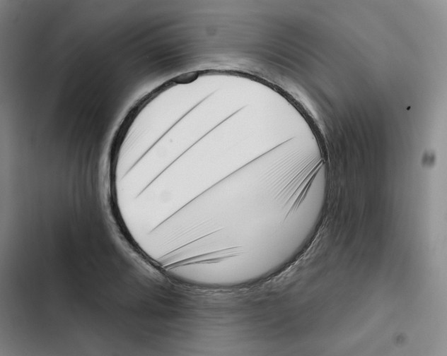 X0000102871080200809151229