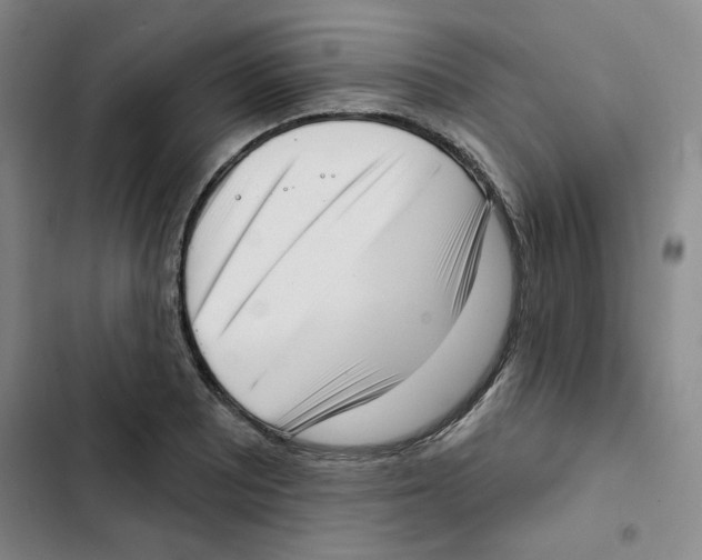 X0000102871081200809151229