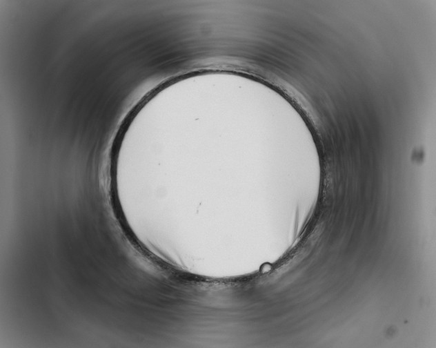 X0000102871082200809151229