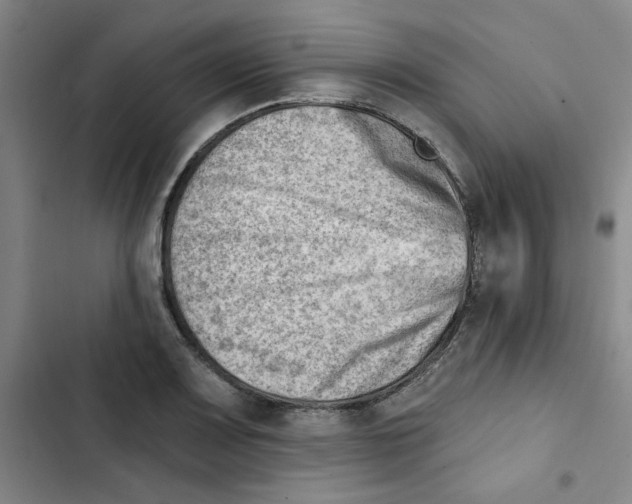 X0000102871083200809151229