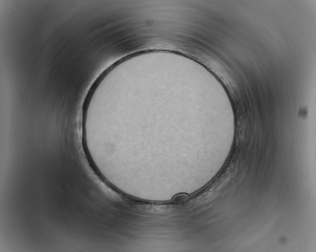 X0000102871084200809151229