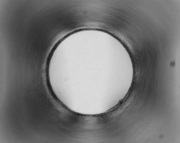 X0000102871085200809151229