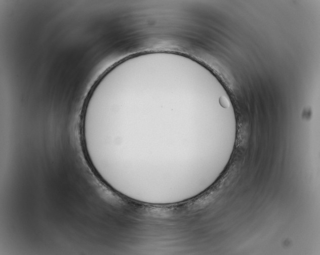 X0000102871086200809151229