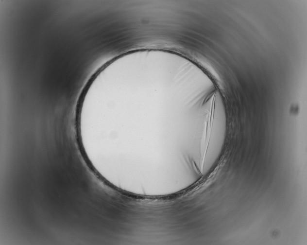 X0000102871087200809151229