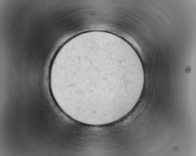 X0000102871088200809151229