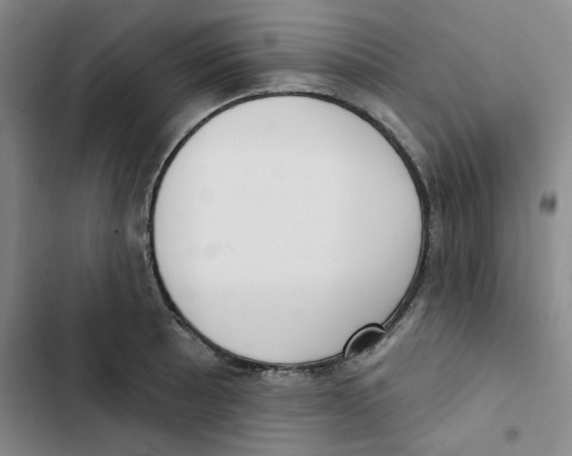 X0000102871089200809151229