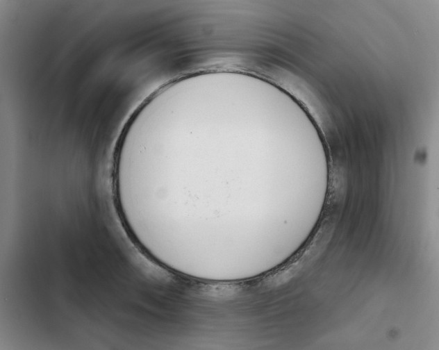 X0000102871090200809151229