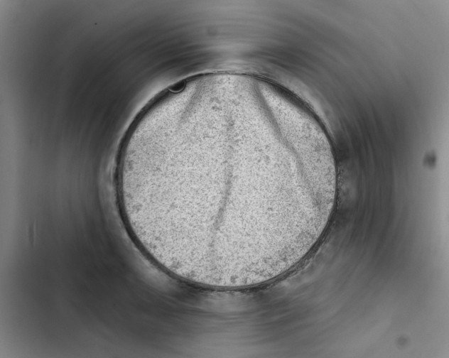 X0000102871091200809151229