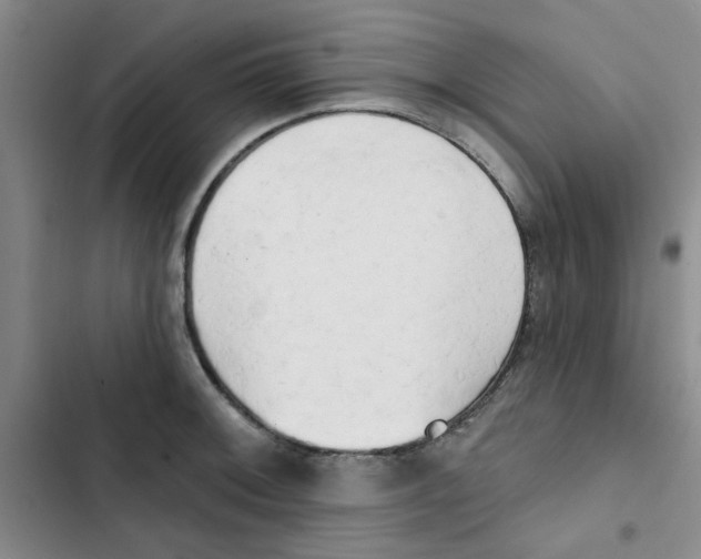 X0000102871092200809151229