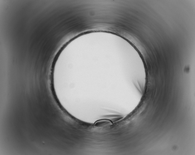 X0000102871093200809151229