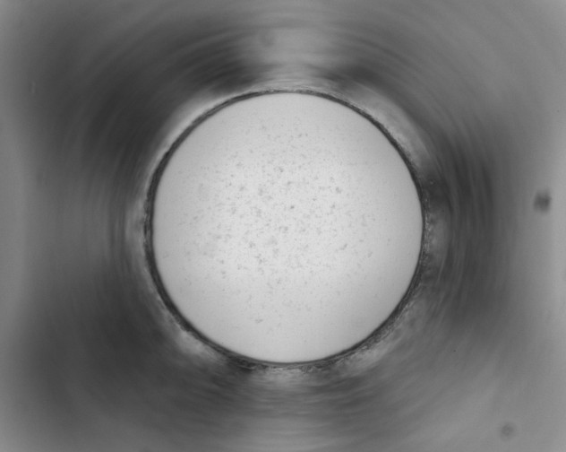 X0000102871094200809151229