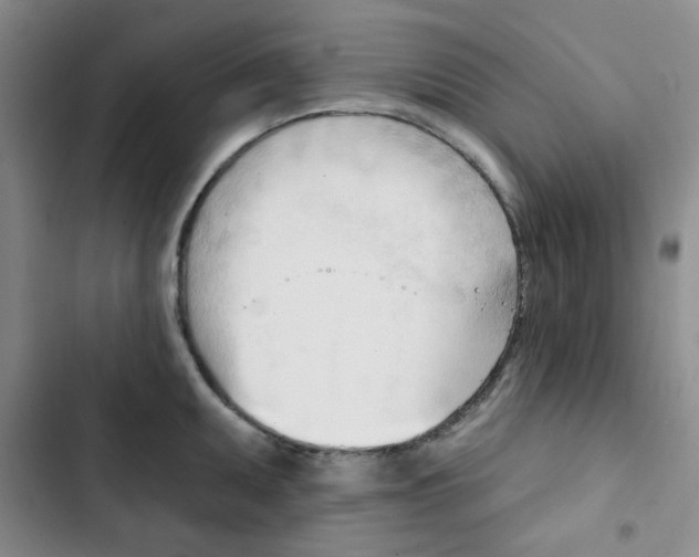 X0000102871095200809151229