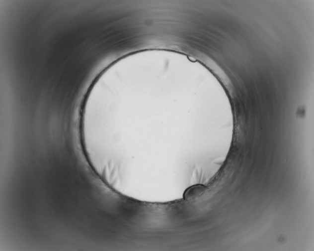 X0000102871096200809151229