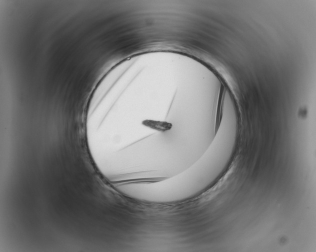 X0000102871097200809151229