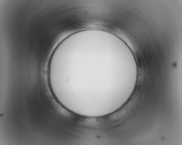 X0000102871098200809151229