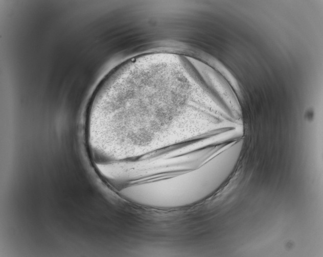 X0000102871099200809151229