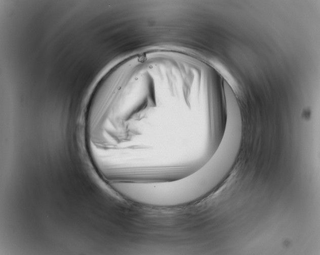 X0000102871100200809151229