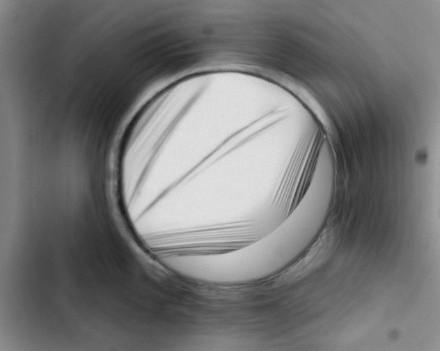 X0000102871101200809151229