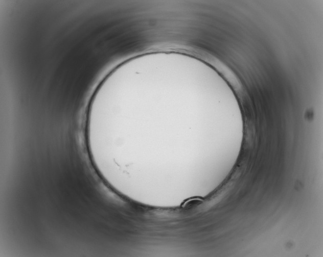 X0000102871102200809151229