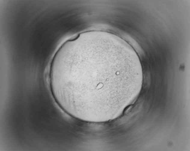 X0000102871103200809151229