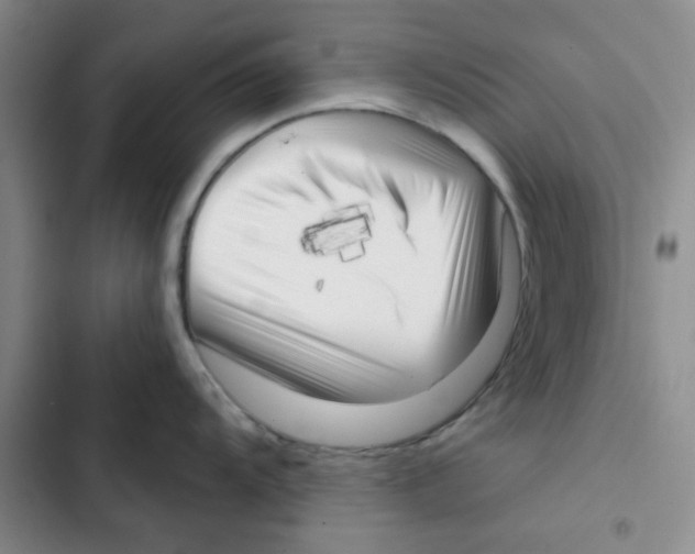X0000102871104200809151229