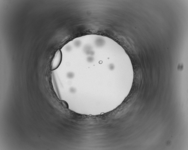 X0000102871105200809151228