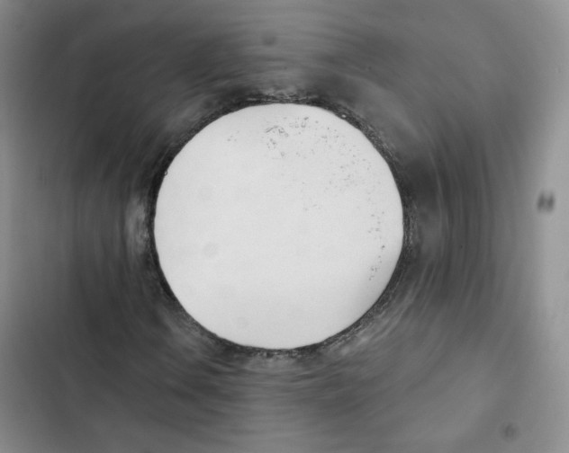 X0000102871106200809151228