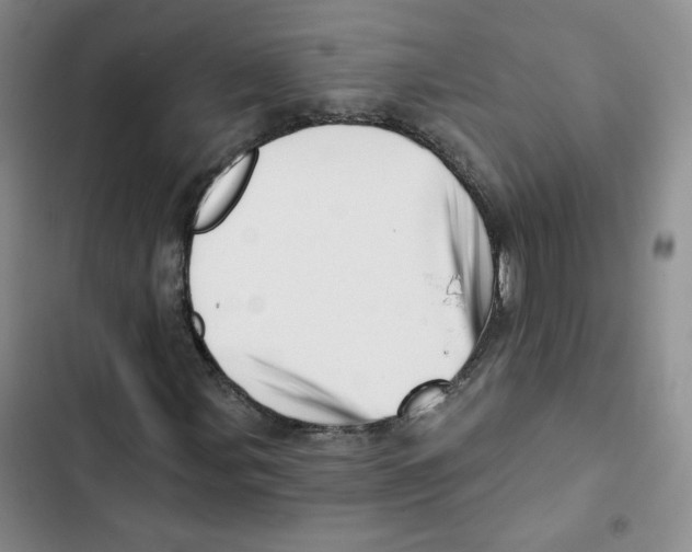 X0000102871107200809151228