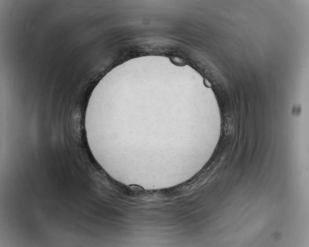 X0000102871108200809151228