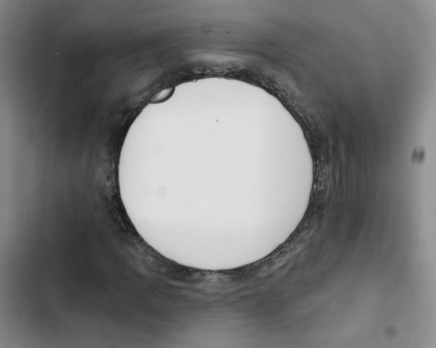 X0000102871109200809151228