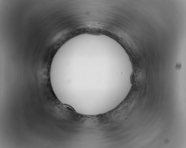 X0000102871110200809151228