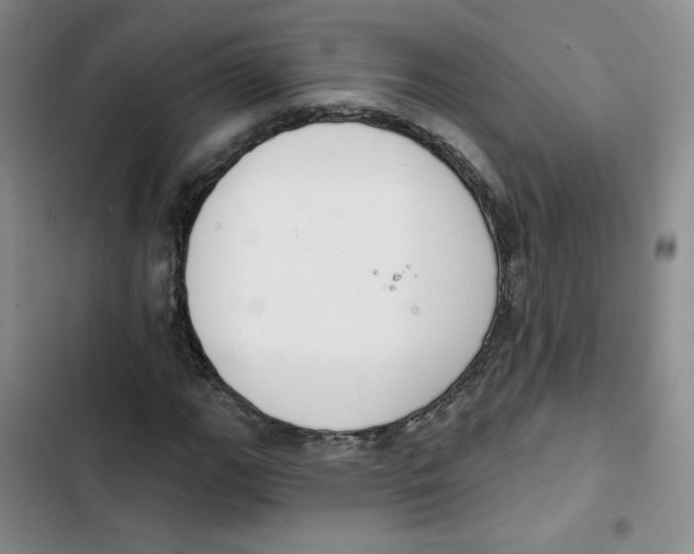 X0000102871111200809151228