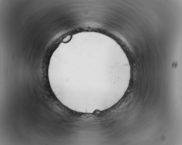 X0000102871112200809151228