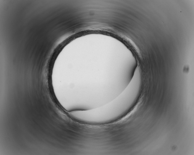 X0000102871114200809151228